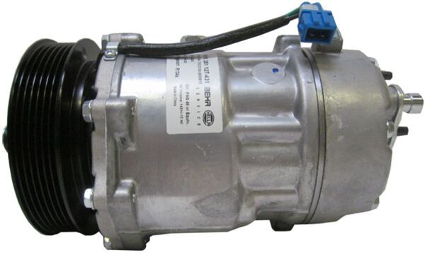 Mahle Original Airco compressor ACP 79 000S