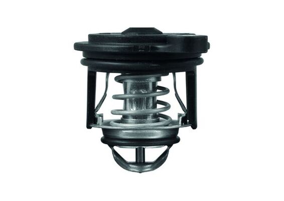 Mahle Original Thermostaat TI 246 50