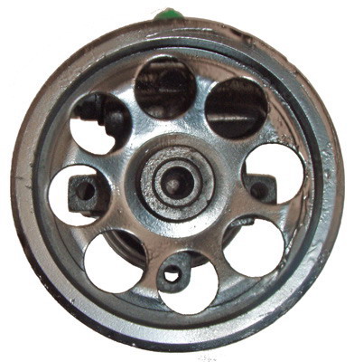 Lizarte Servopomp 04.07.0202-1