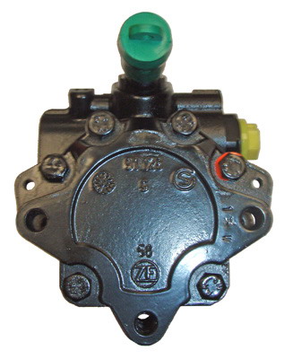 Lizarte Servopomp 04.13.0005
