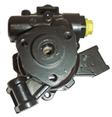 Lizarte Servopomp 04.13.0094
