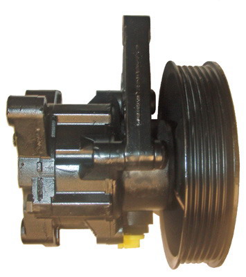 Lizarte Servopomp 04.13.0102