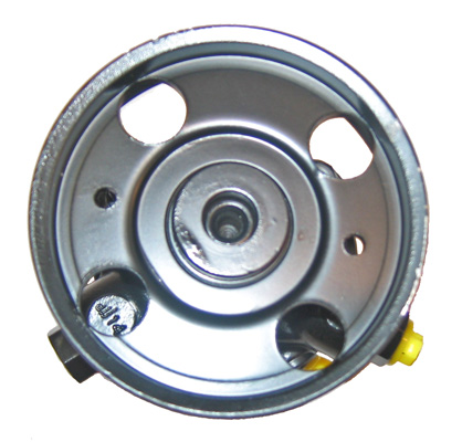 Lizarte Servopomp 04.36.0301