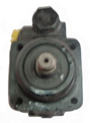 Lizarte Servopomp 04.45.0320