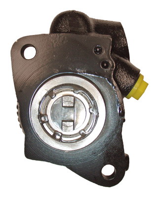 Lizarte Servopomp 04.45.0417