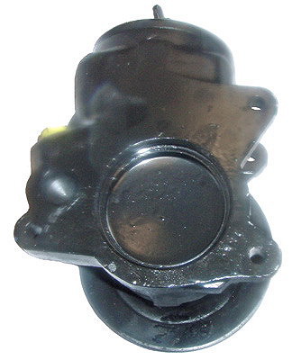 Lizarte Servopomp 04.48.0212-2
