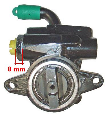 Lizarte Servopomp 04.63.0200