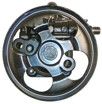 Lizarte Servopomp 04.76.0300-1