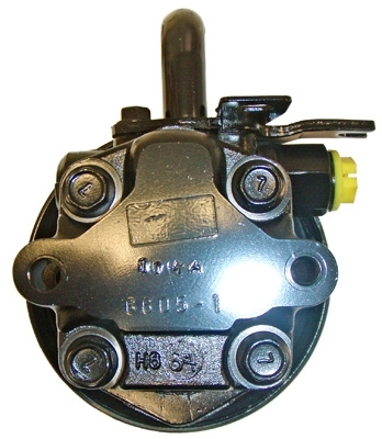 Lizarte Servopomp 04.76.0604-1