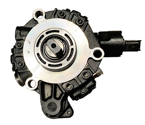 Lizarte Brandstof inspuitpomp R5WS40380