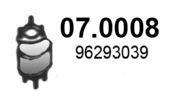 Katalysator Asso 07.0008