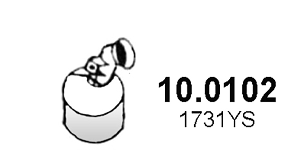 Katalysator Asso 10.0102