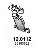 Katalysator Asso 12.0112
