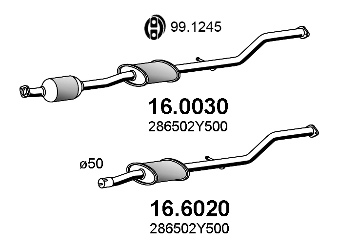Katalysator Asso 16.0030