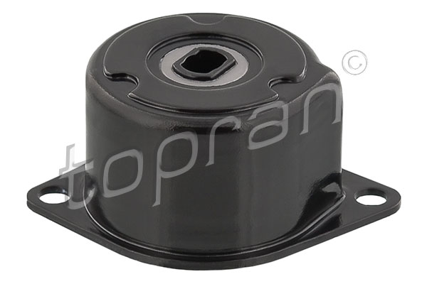 Spanner poly V-riem Topran 109 800