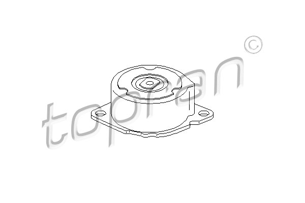 Spanner poly V-riem Topran 501 690