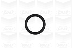 Graf Waterpomp PA1023