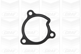 Graf Waterpomp PA1070
