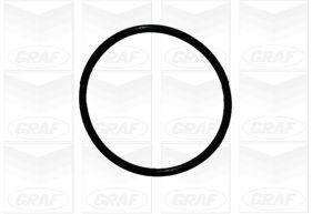Graf Waterpomp PA1084