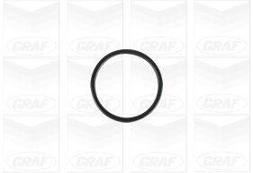 Graf Waterpomp PA1138