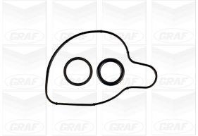 Graf Waterpomp PA1163
