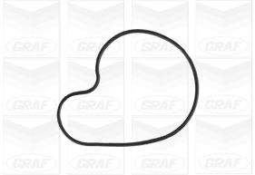 Graf Waterpomp PA1175