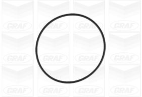 Graf Waterpomp PA1199