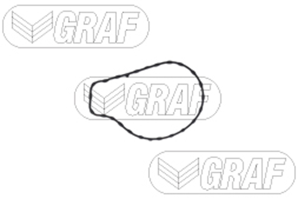 Graf Waterpomp PA1515