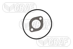 Graf Waterpomp PA317