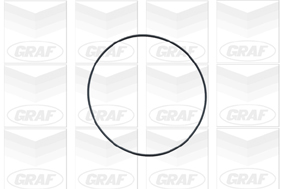 Graf Waterpomp PA347