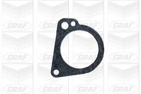 Graf Waterpomp PA401