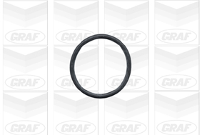 Graf Waterpomp PA431