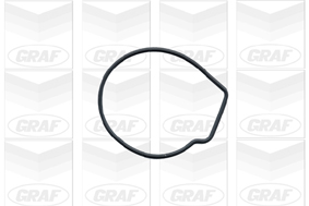 Graf Waterpomp PA459