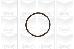 Graf Waterpomp PA654