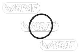 Graf Waterpomp PA765
