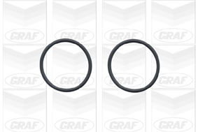 Graf Waterpomp PA779