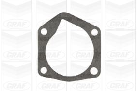 Graf Waterpomp PA804