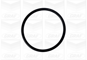 Graf Waterpomp PA875
