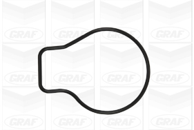 Graf Waterpomp PA897