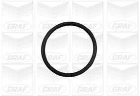 Graf Waterpomp PA906