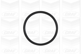 Graf Waterpomp PA945