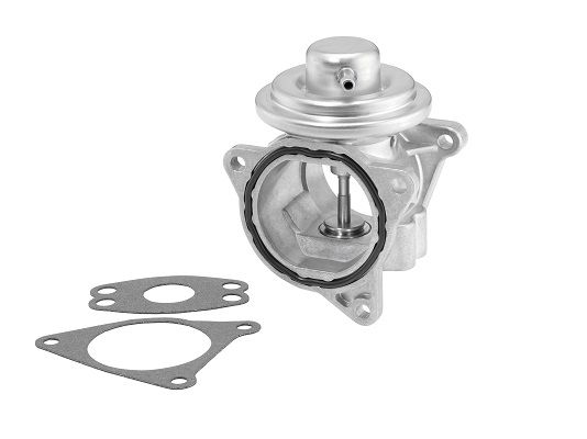 EGR-klep Borgwarner 7496D