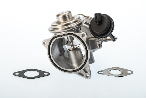 EGR-klep Borgwarner 7650D