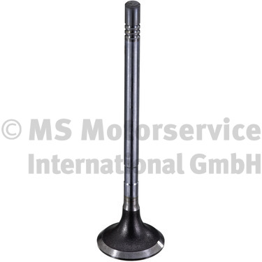 TRW Engine Component Uitlaatklep 189003