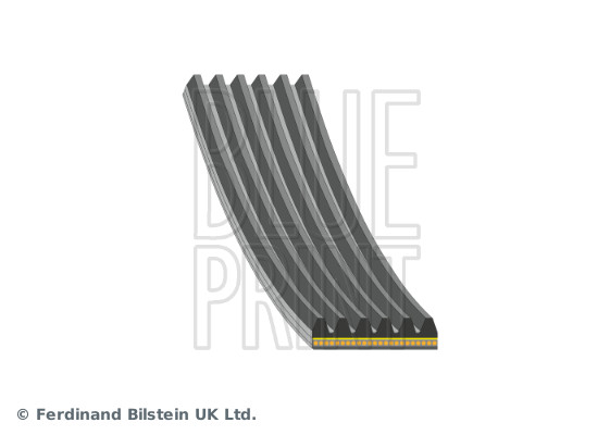 Poly V-riem Blue Print AD06A926