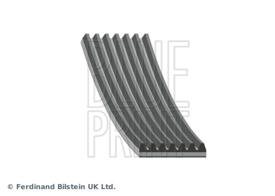 Poly V-riem Blue Print AD07R2150