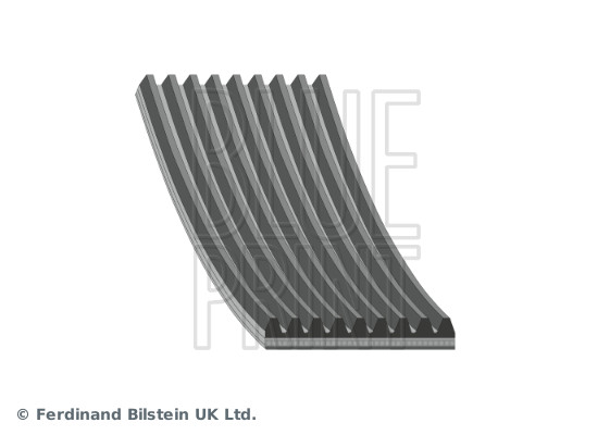 Poly V-riem Blue Print AD09R2260