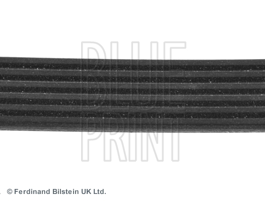 Blue Print Poly V-riem ADA109601