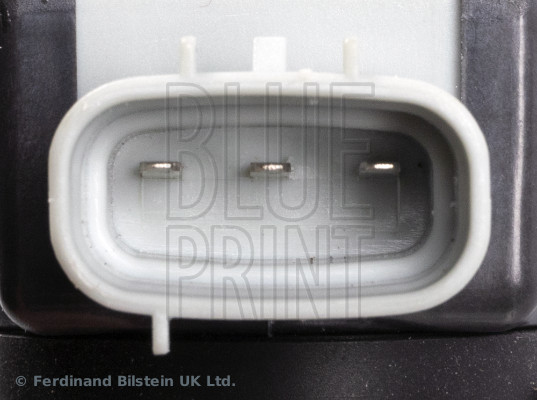 Blue Print Bobine ADBP140079