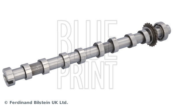 Blue Print Nokkenas ADBP610408